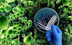 A blue gloved hand holding a petri dish showing bacterial growth, the background is black with a network of green cells